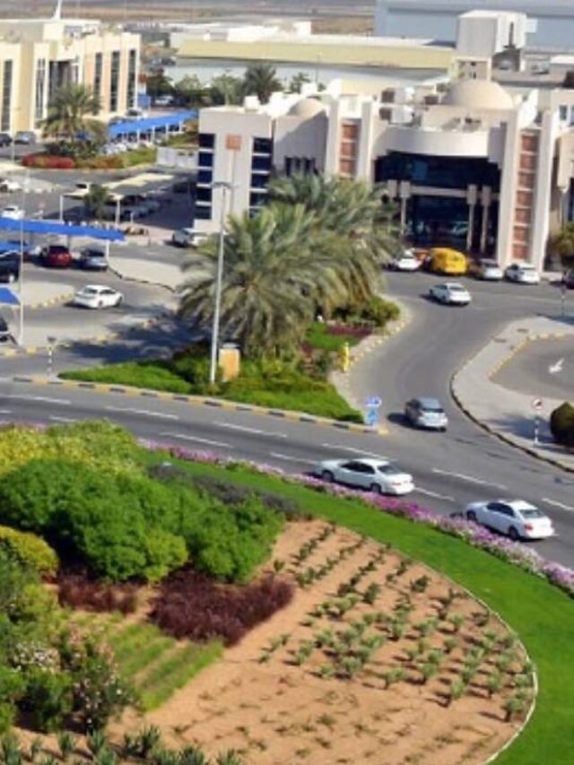 Why Choose SAIF Zone For Business Setup?
